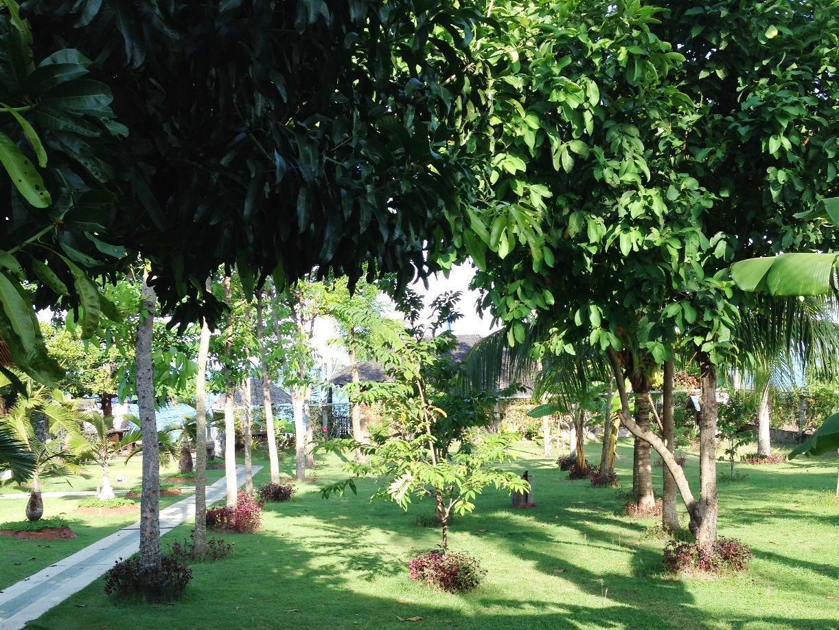 Dumaguete City Dumaguete Springs Apartment מראה חיצוני תמונה